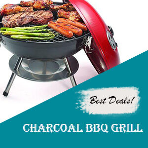 Weber Charcoal BBQs